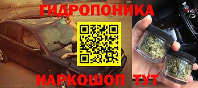 сатива Кинель